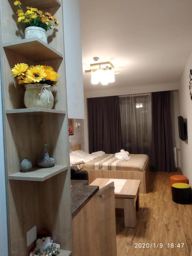 Neu Gudauri Loft2 С Видом На Горы Kültér fotó